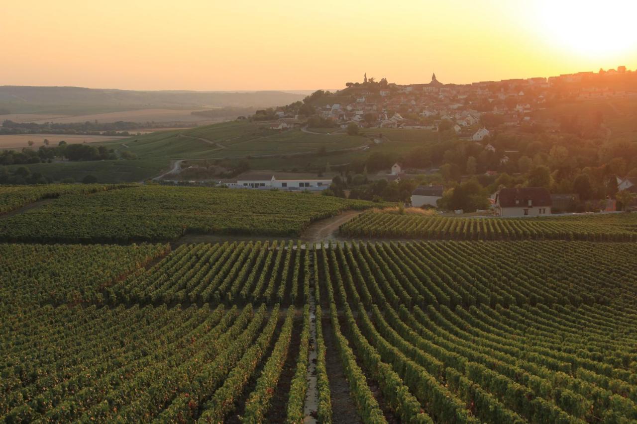 Lodge De La Vigneronne Châtillon-sur-Marne Eksteriør billede